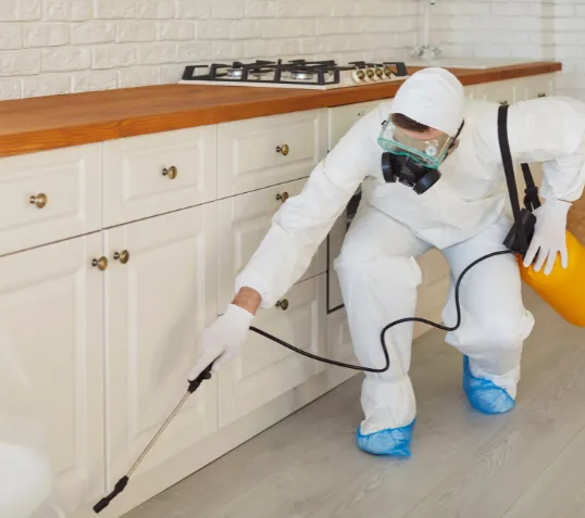 Household Insect Extermination